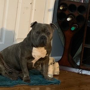 Meet your Posher, Arnetta